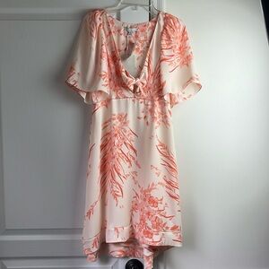 NWT Joie Aralda Dress